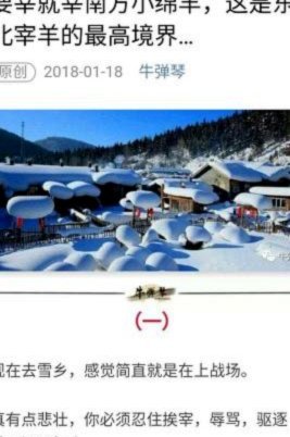 这一次，东北真豁出去了