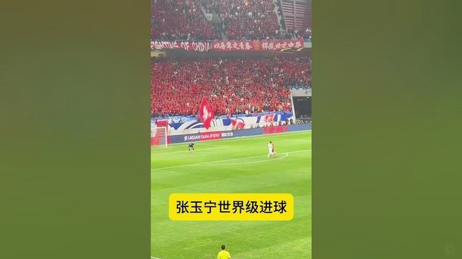 张玉宁禁区内抽射破门，法比奥被吹冲撞门将在先，进球无效