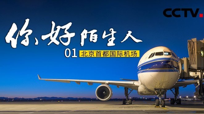 MCN机构该向董路学习