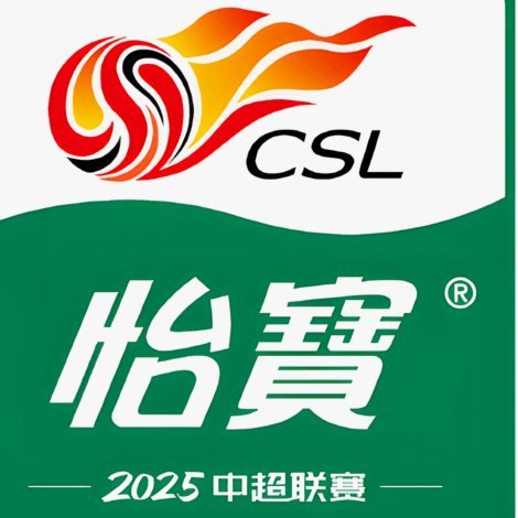 如何评价孙继海海选未来足球计划募集资金财务报告